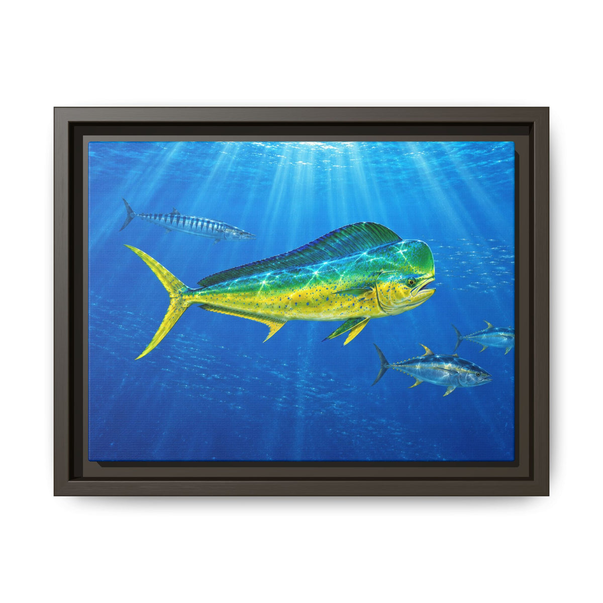 Mahi Mahi Ocean Framed Canvas Print — Tropical Fish Wall Art