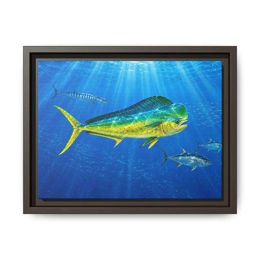 Mahi Mahi Ocean Framed Canvas Print — Tropical Fish Wall Art