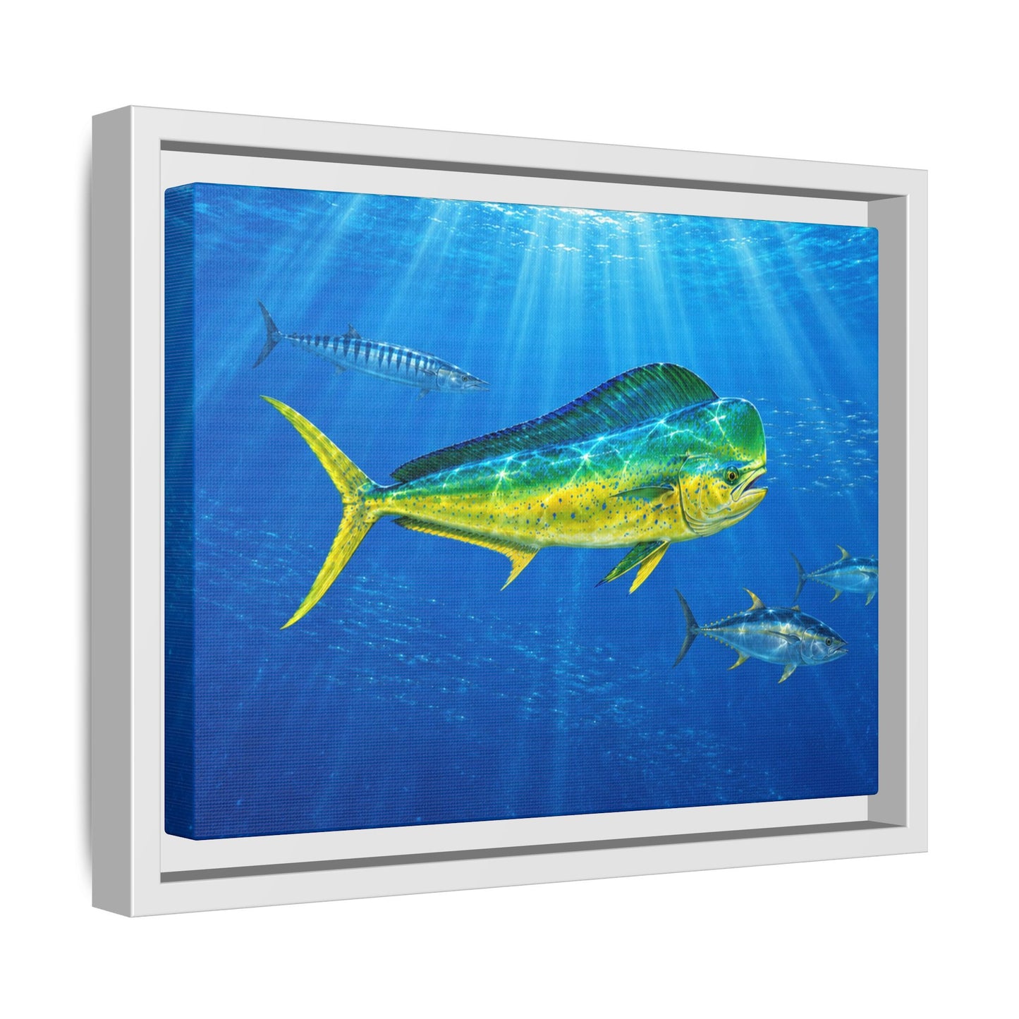 Mahi Mahi Ocean Framed Canvas Print — Tropical Fish Wall Art
