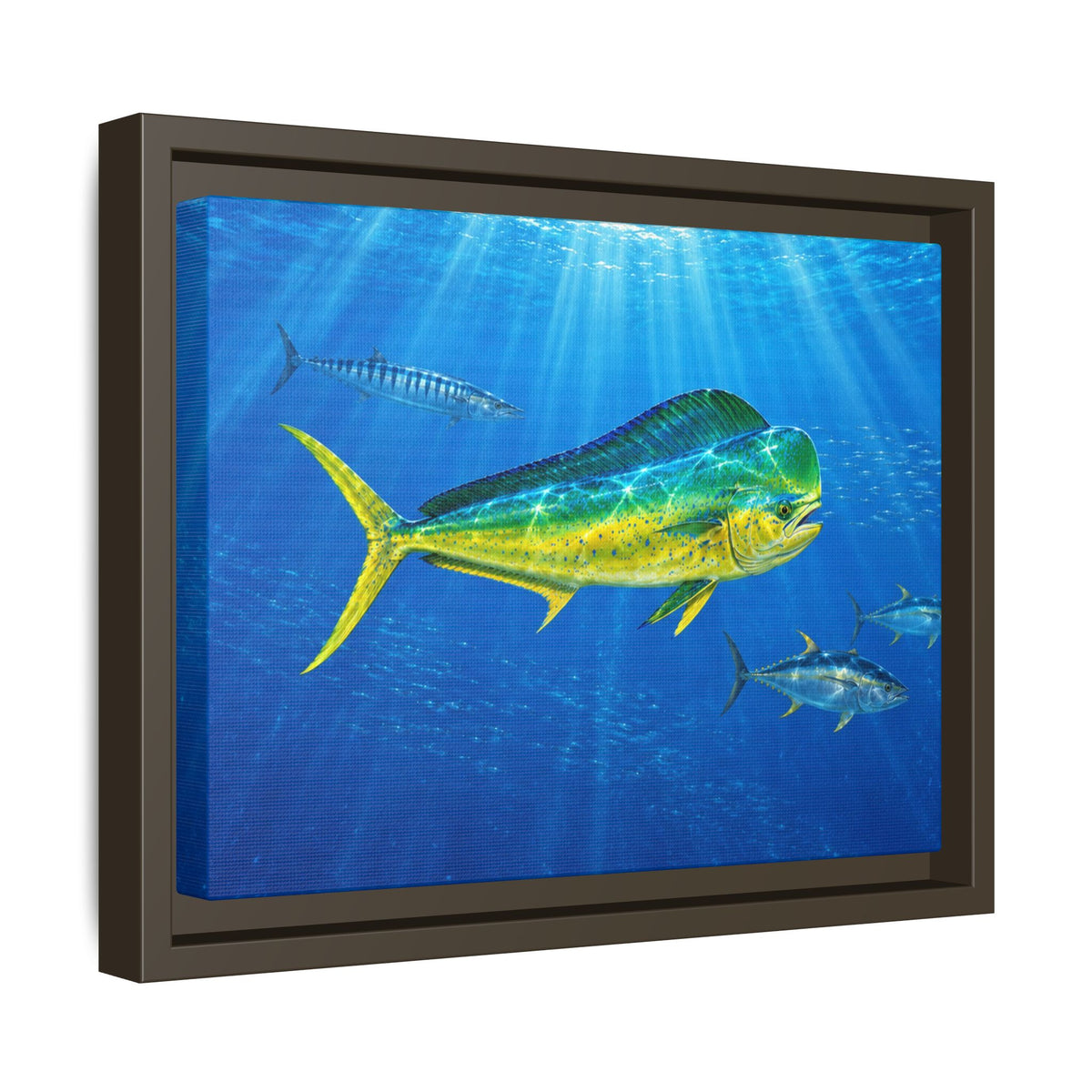 Mahi Mahi Ocean Framed Canvas Print — Tropical Fish Wall Art