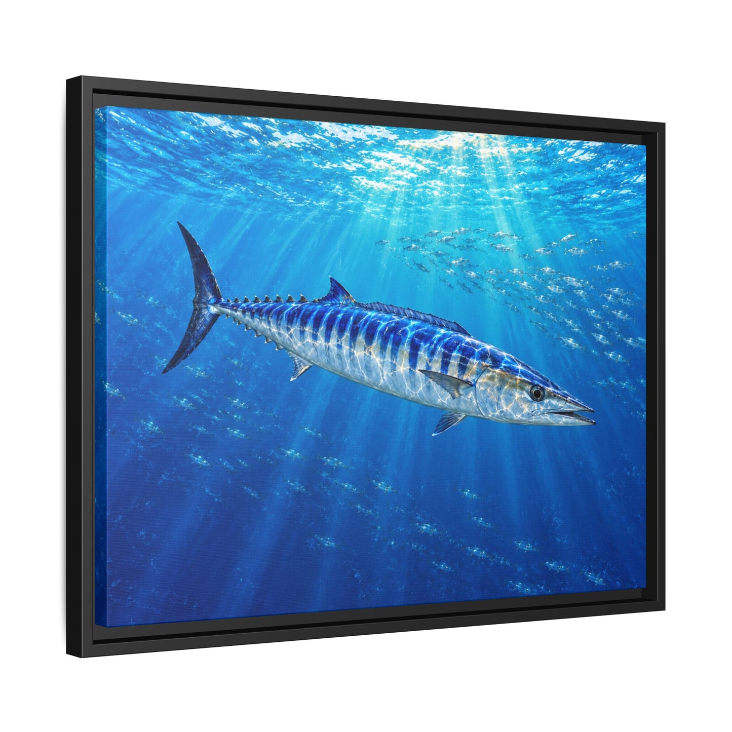 Framed Wahoo Canvas Print