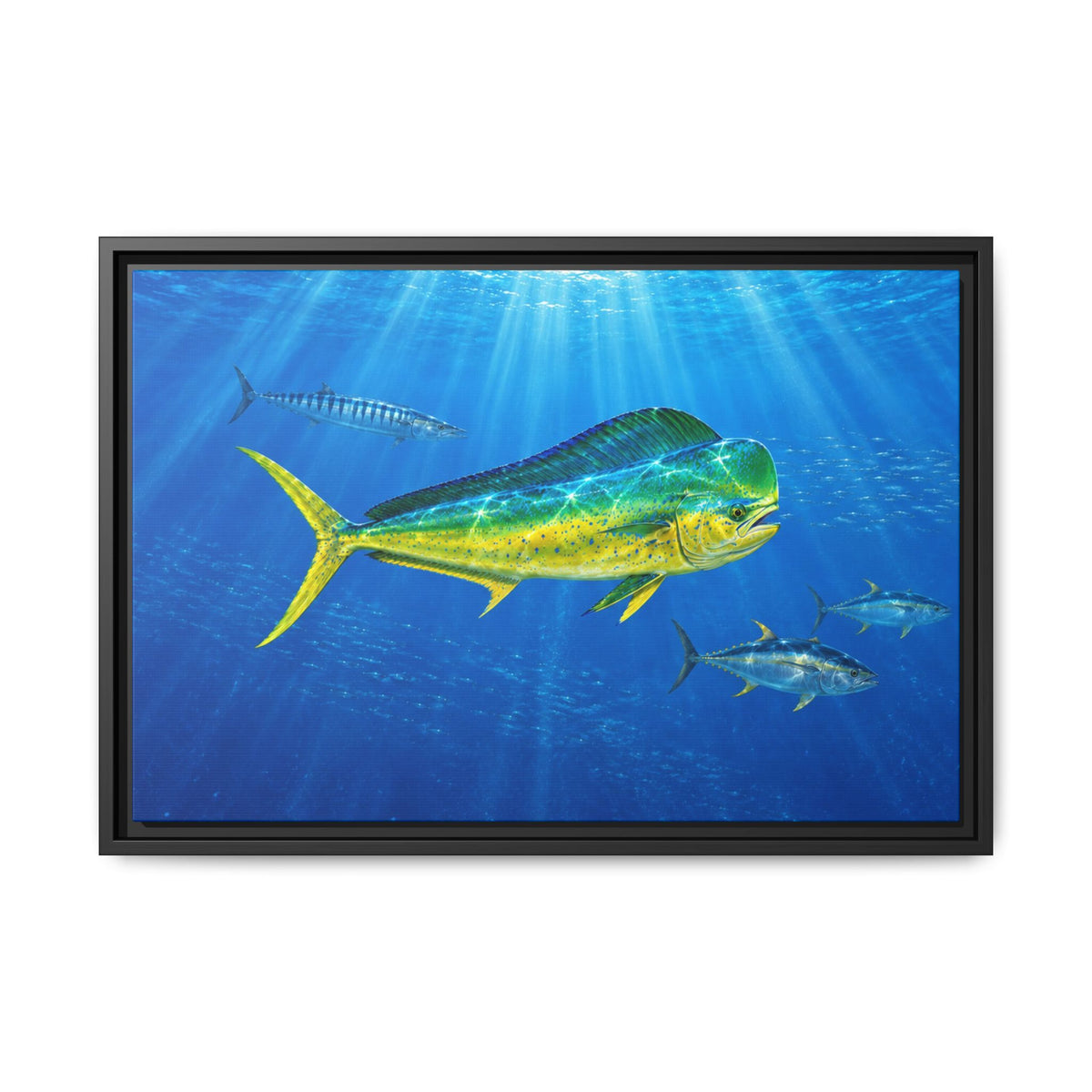 Mahi Mahi Ocean Framed Canvas Print — Tropical Fish Wall Art