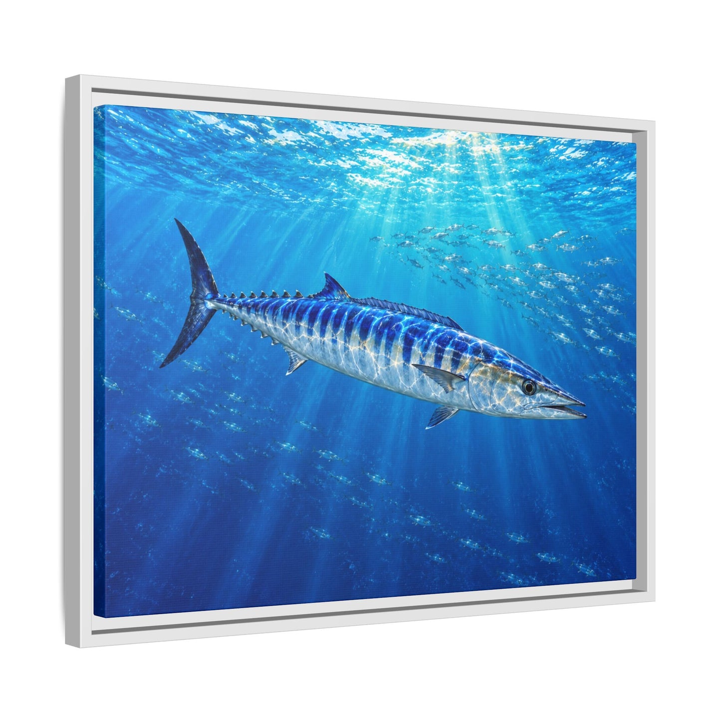 Framed Wahoo Canvas Print