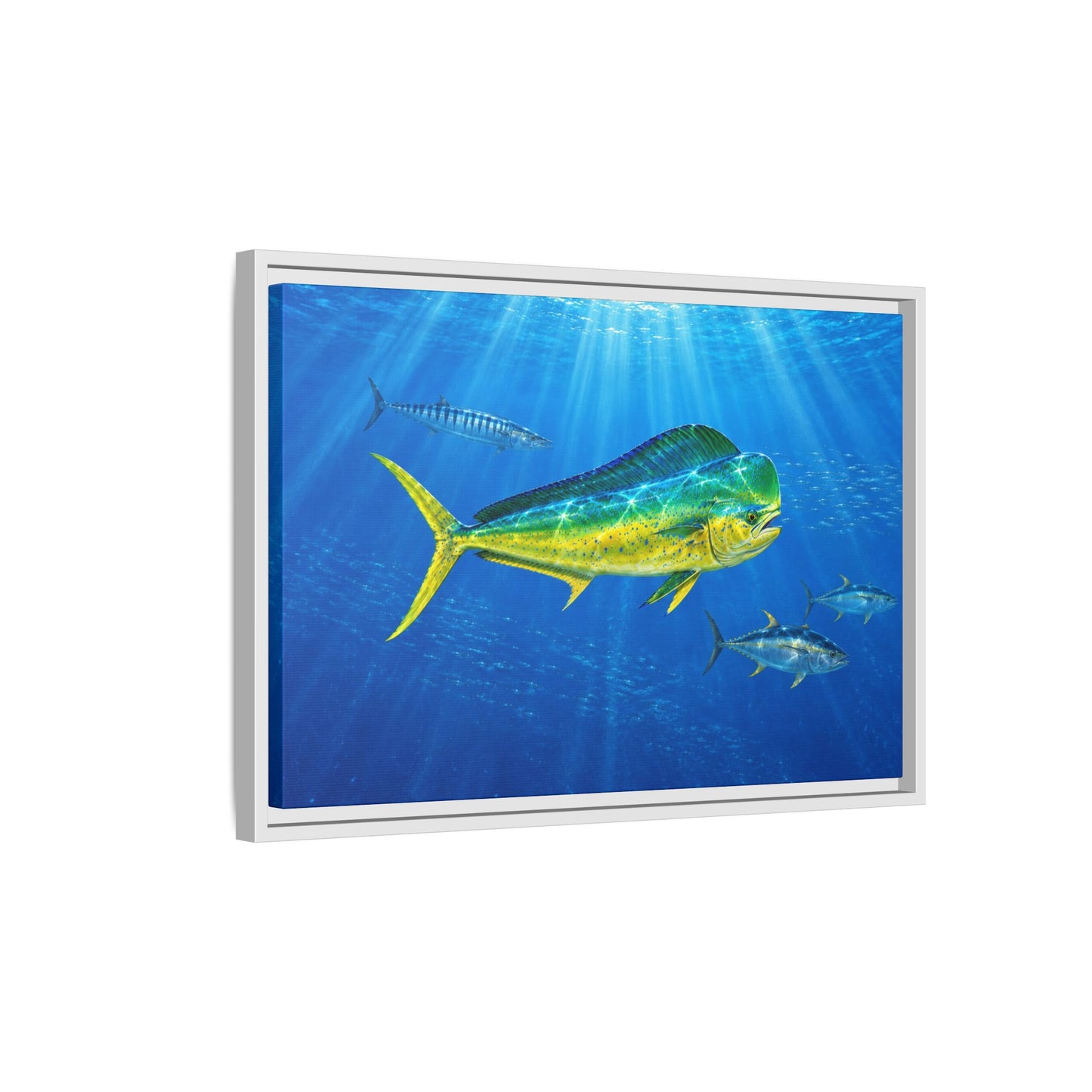 Mahi Mahi Ocean Framed Canvas Print — Tropical Fish Wall Art