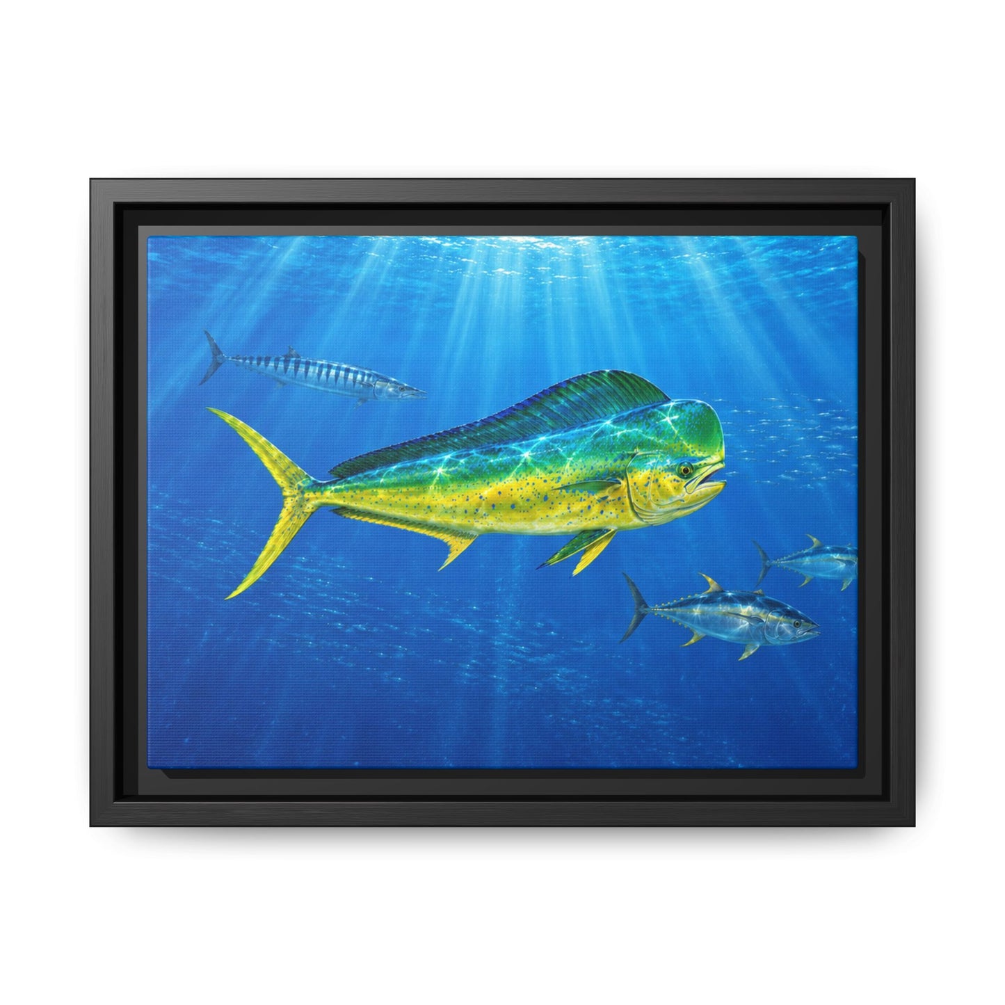 Mahi Mahi Ocean Framed Canvas Print — Tropical Fish Wall Art