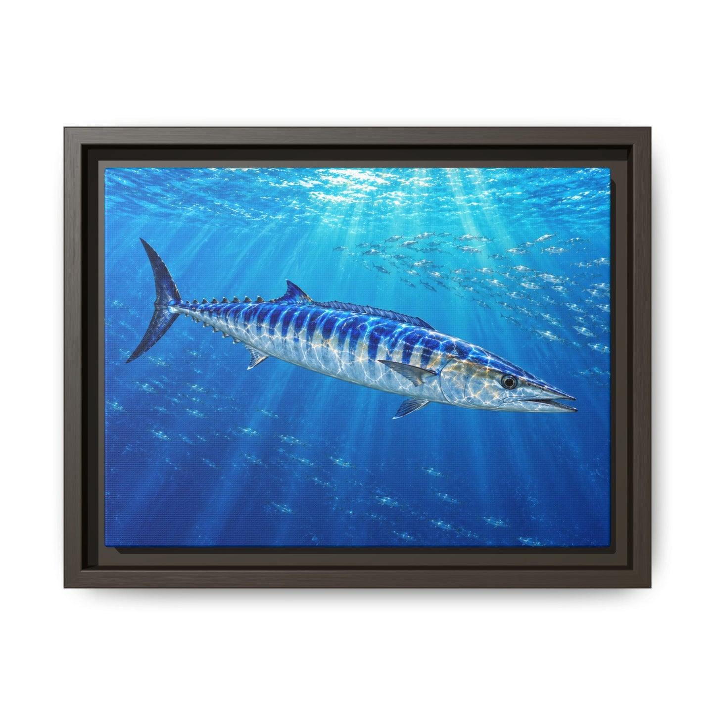 Framed Wahoo Canvas Print