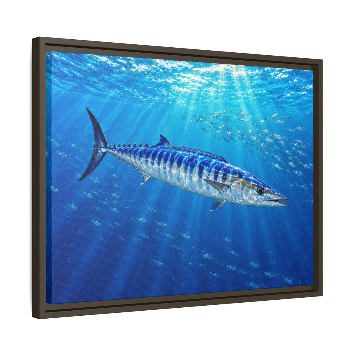 Framed Wahoo Canvas Print