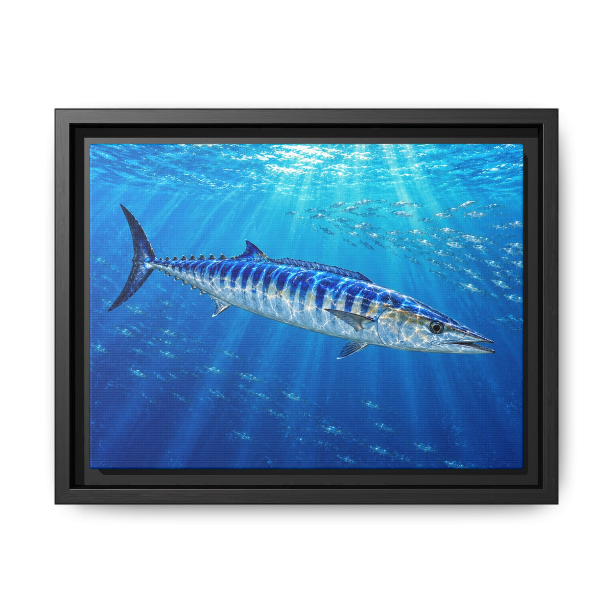 Framed Wahoo Canvas Print