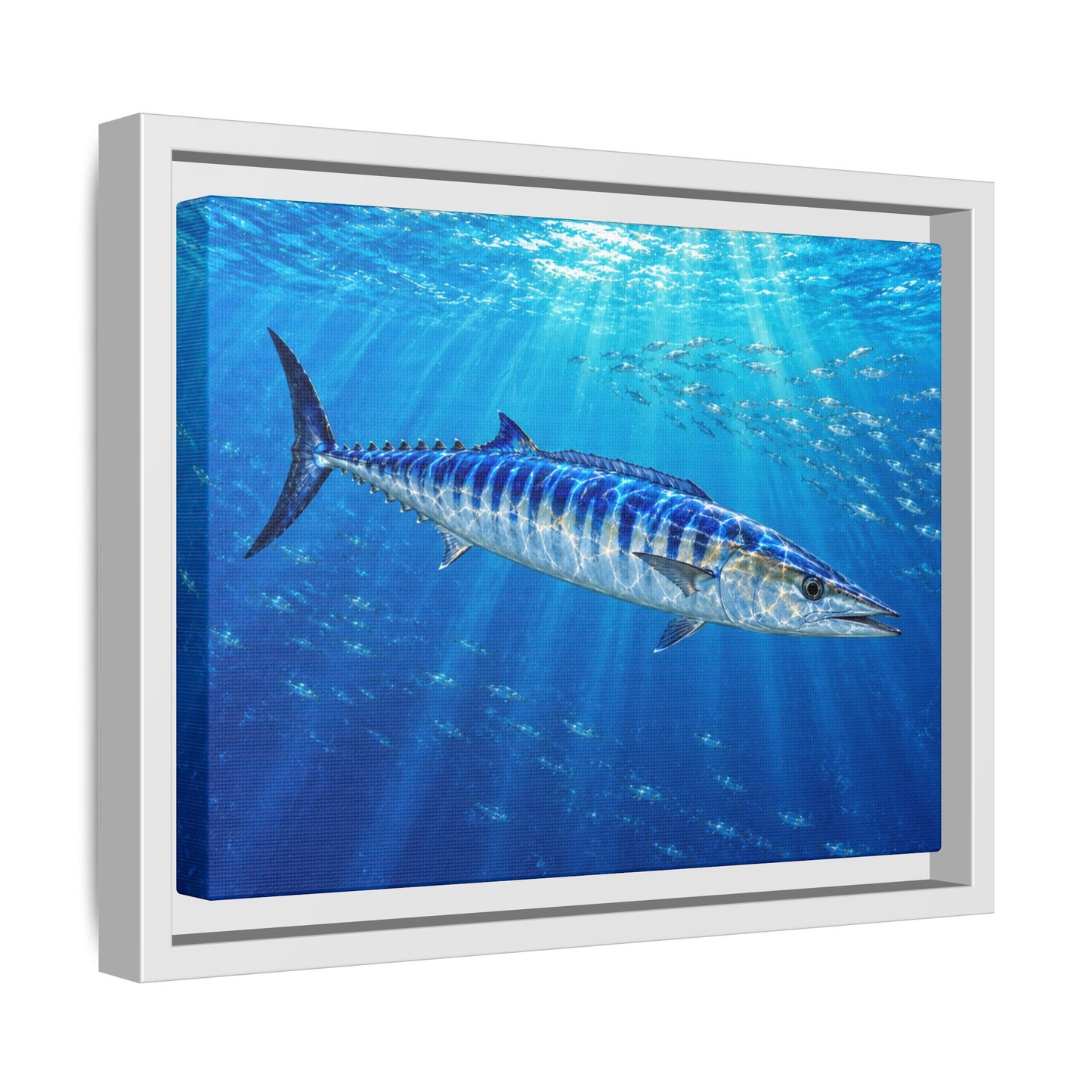 Framed Wahoo Canvas Print