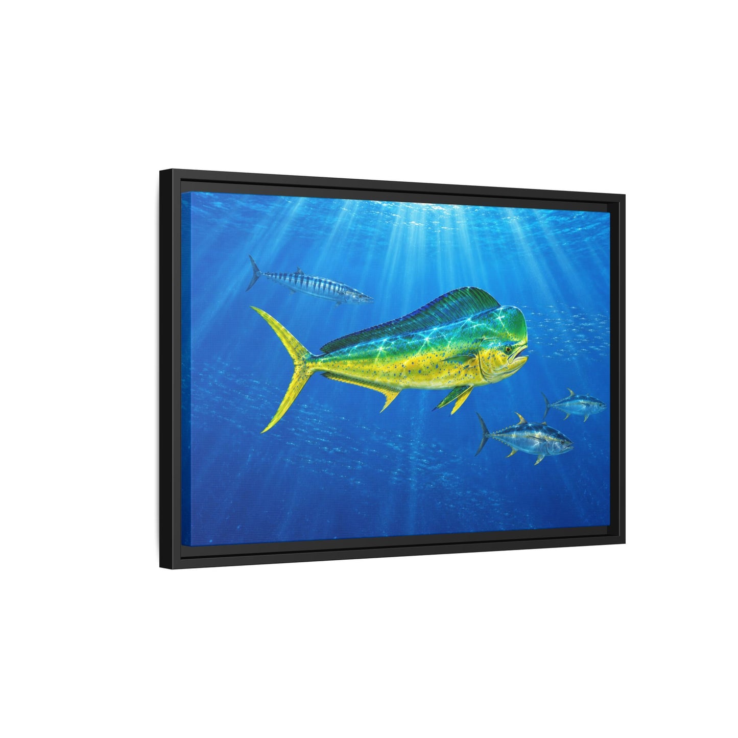 Mahi Mahi Ocean Framed Canvas Print — Tropical Fish Wall Art