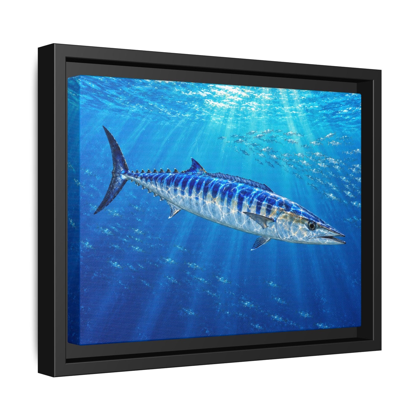 Framed Wahoo Canvas Print