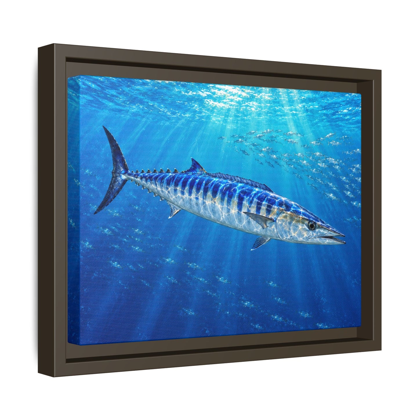 Framed Wahoo Canvas Print