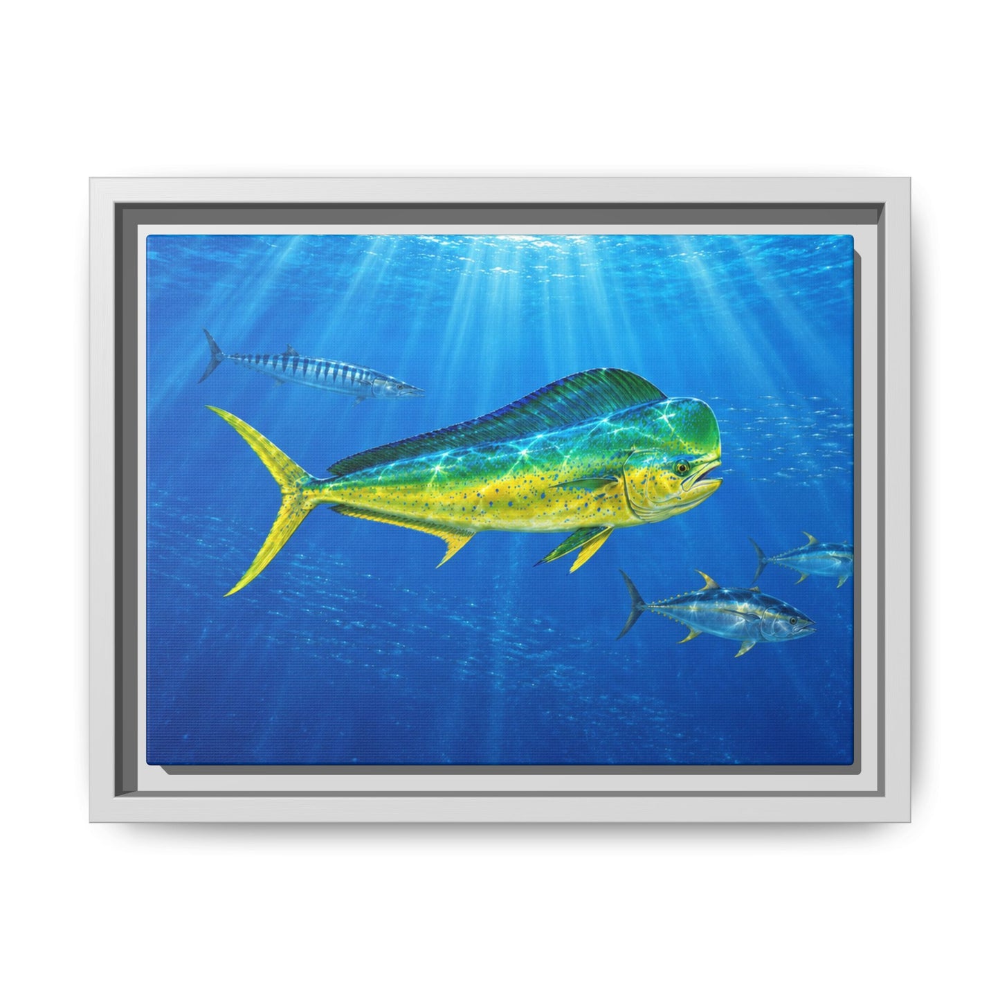 Mahi Mahi Ocean Framed Canvas Print — Tropical Fish Wall Art