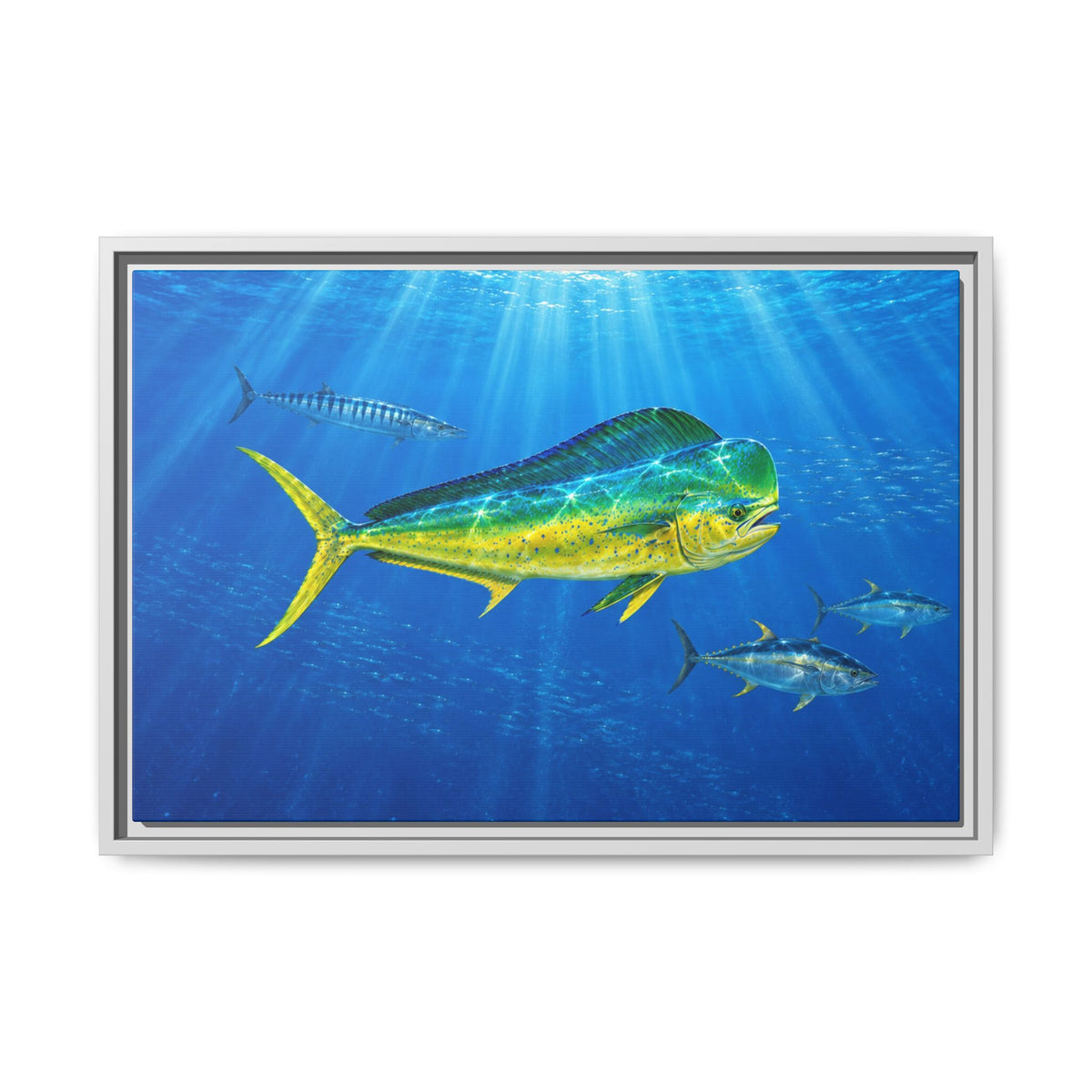 Mahi Mahi Ocean Framed Canvas Print — Tropical Fish Wall Art