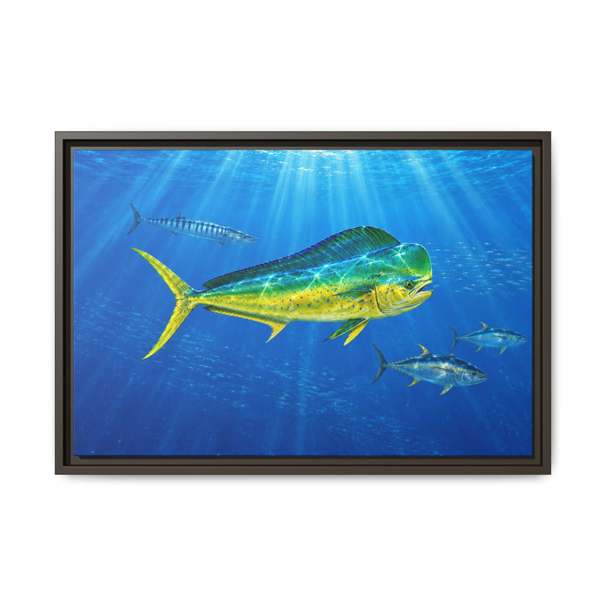 Mahi Mahi Ocean Framed Canvas Print — Tropical Fish Wall Art