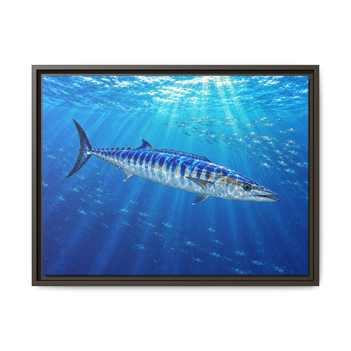 Framed Wahoo Canvas Print